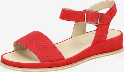 SIOUX Strap Sandals ' Achara' in Red, Item view