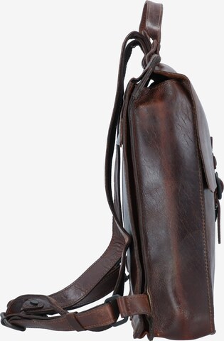 Harold's Backpack in Brown