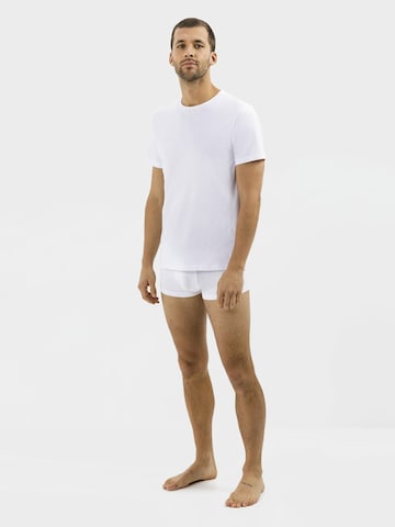 CAMEL ACTIVE Boxer shorts in White