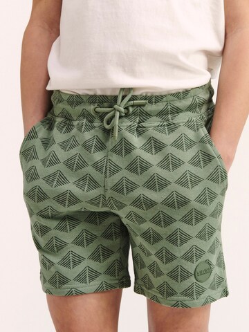 Regular Pantaloni 'Pyramid' de la Shiwi pe verde