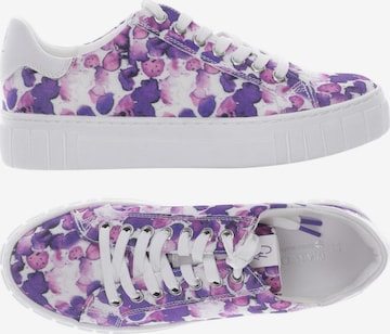 Guido Maria Kretschmer Jewellery Sneakers & Trainers in 37 in Purple: front