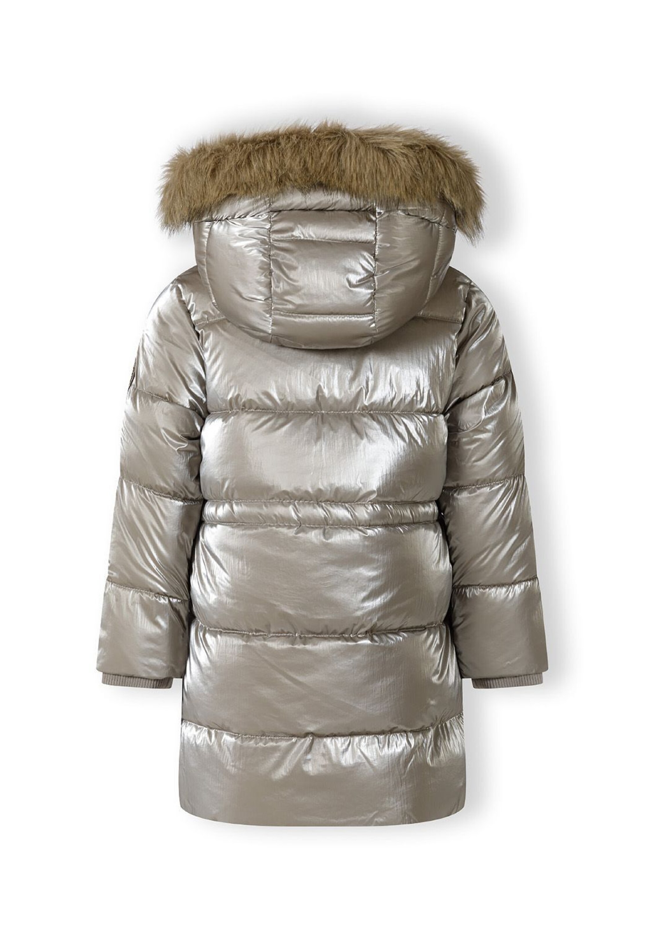 sudrabs MINOTI Ziemas jaka