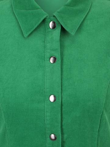 PULZ Jeans Särkkleit 'SALLY', värv roheline