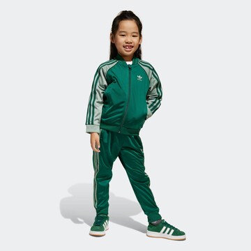 Survêtement 'Adicolor' ADIDAS ORIGINALS en vert