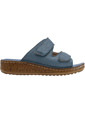Limoya Muiltjes 'Aditi' in Blauw
