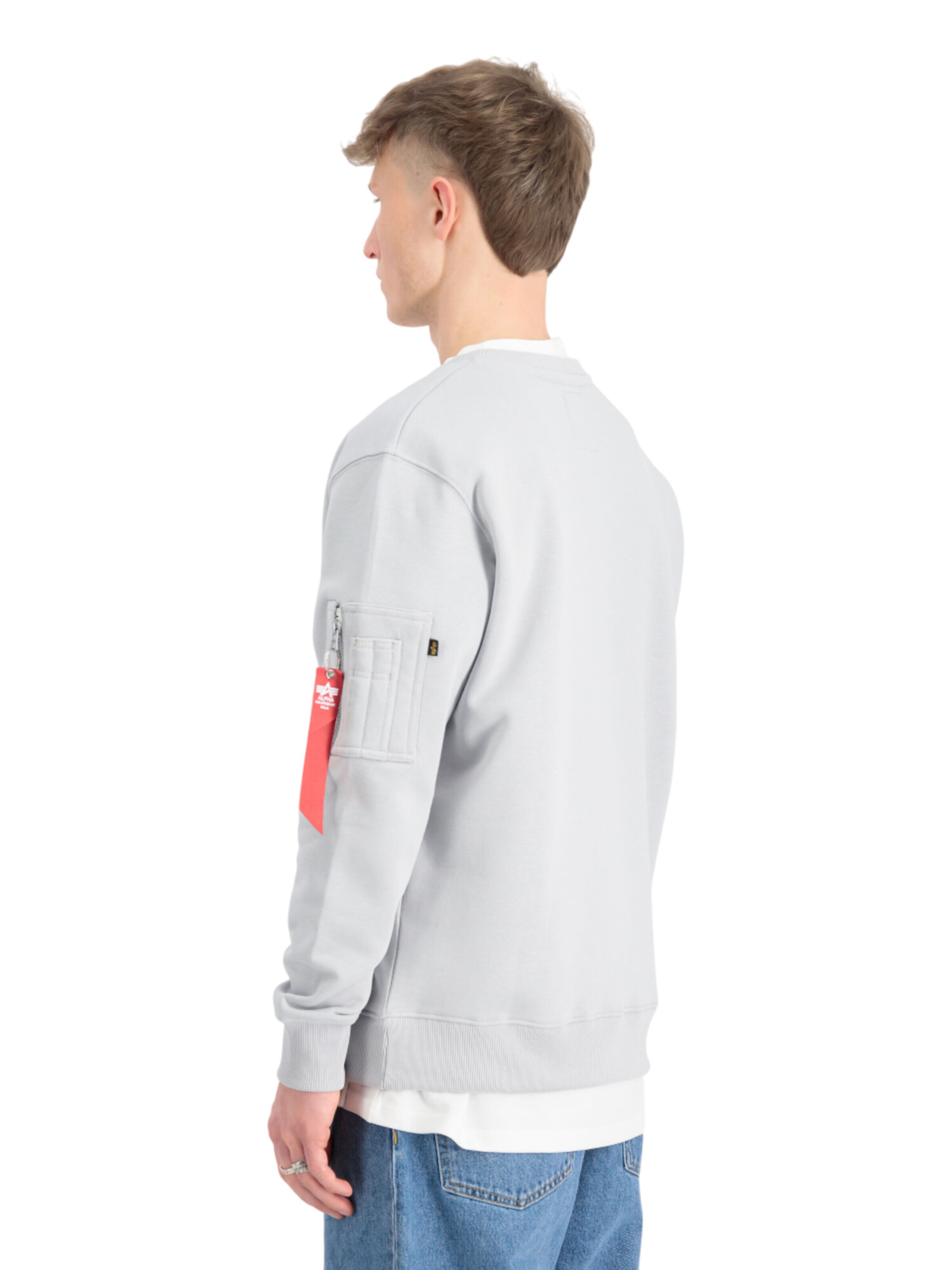 ALPHA INDUSTRIES Sweatshirt 'RP'‌‌‌‌‌‌‌‌‌ in Grau