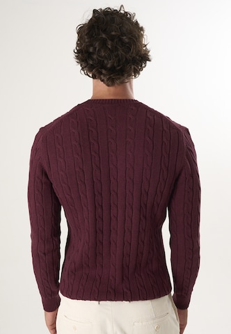 Pullover di Felix Hardy in rosso