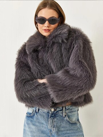 Veste mi-saison Bianco Lucci en gris