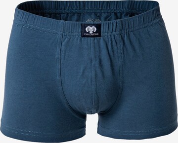 Boxer di CECEBA in blu