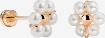 Luamaya Earrings 'Daisy Studs' in Gold: front
