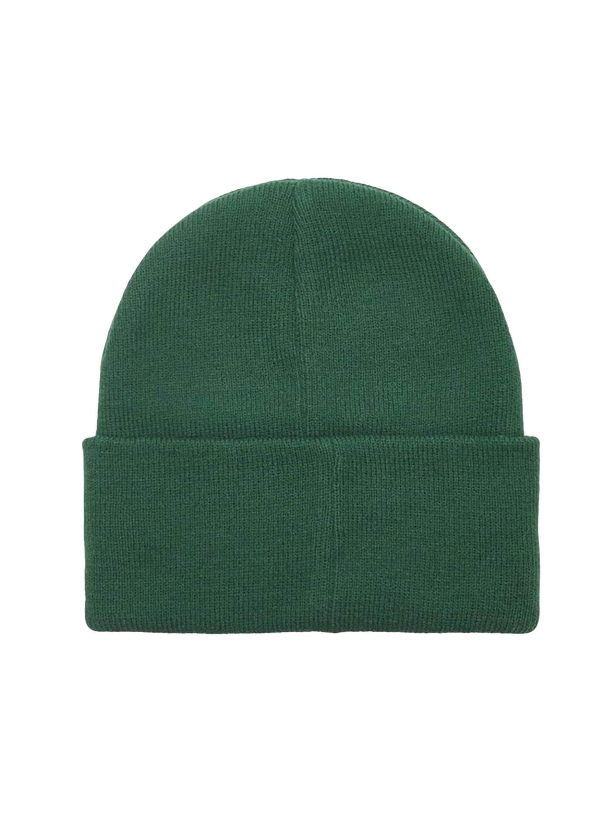 Obey Hue 'Icon Eyes Beanie' i grøn