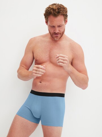 CALIDA Boxer shorts 'Daywear Xtra' in Blue