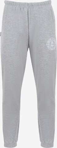 Regular Pantalon de sport Unfair Athletics en gris : devant