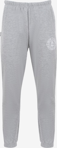 Regular Pantalon de sport Unfair Athletics en gris : devant