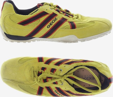 GEOX Sneakers & Trainers in 41 in Yellow: front
