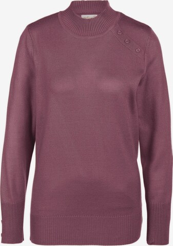 Goldner Sweater in Pink: front