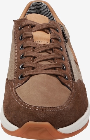 SIOUX Sneakers 'Turibio' in Brown