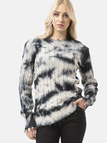 Pull-over CIPO & BAXX en gris : devant