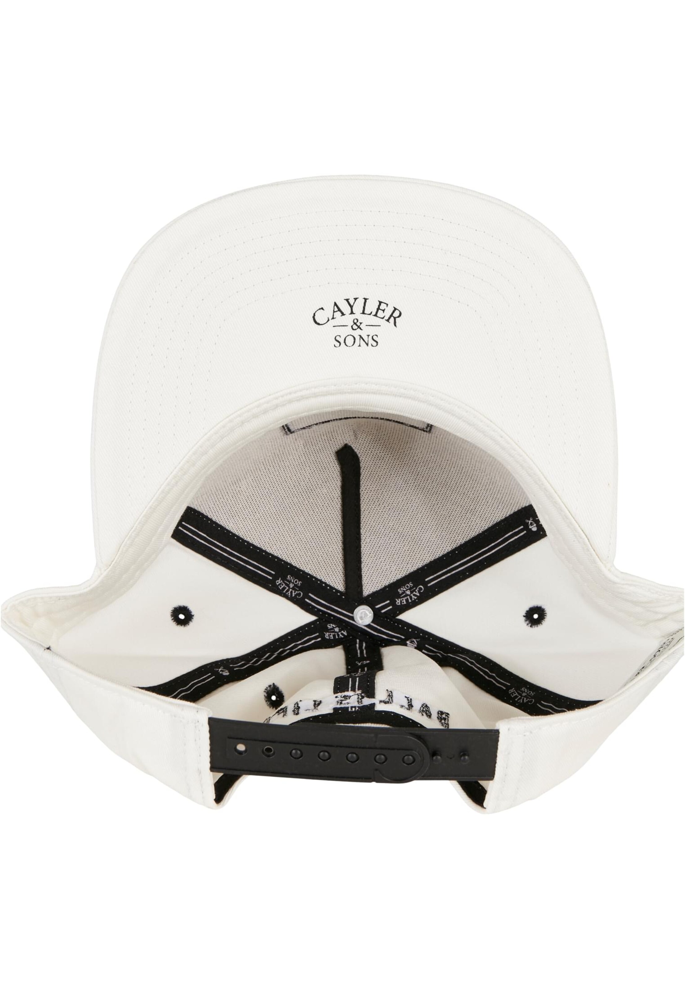 Cayler & Sons Pet 'Art Is Life' in Wit