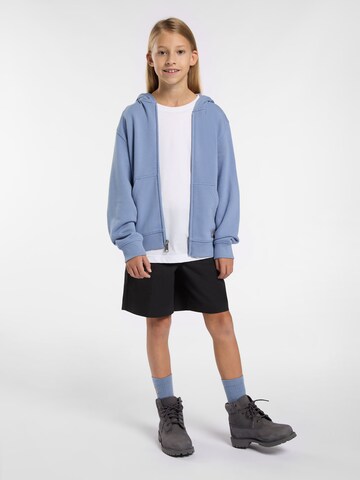 DICKIES Sweatshirt 'TERRY' in Lila