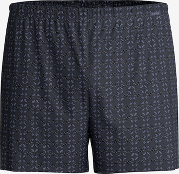 CALIDA Boxer shorts 'Prints' in Grey: front
