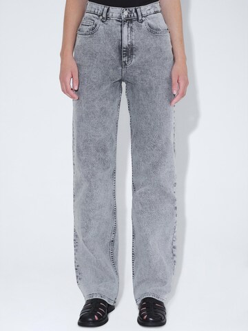 Dr. Denim Regular Jeans 'Echo High Straight' in Grey