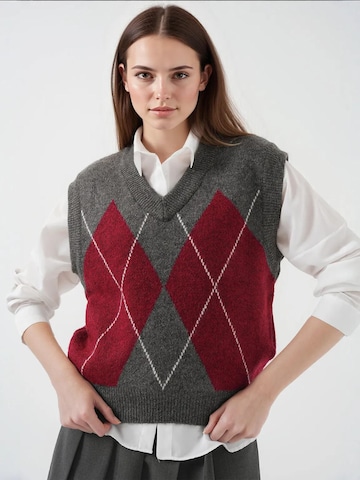 Bigdart Bodywarmer in Grijs: voorkant