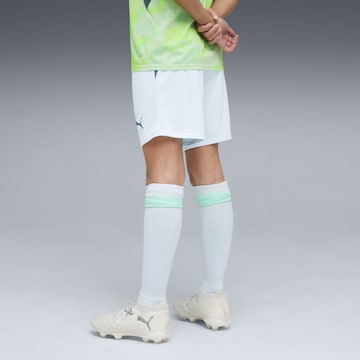 PUMA Regular Sportbroek 'Schweiz 2026' in Blauw