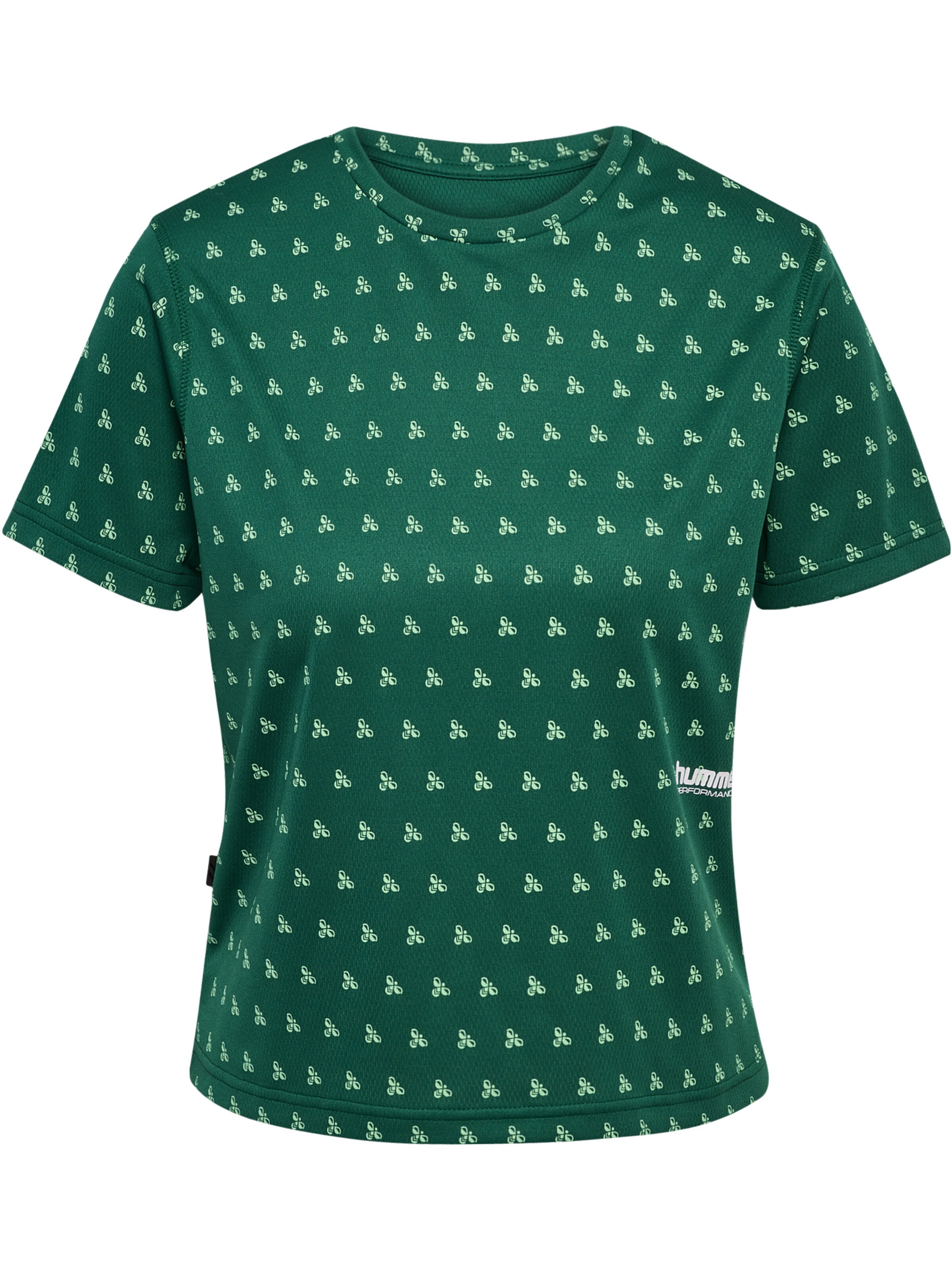 Hummel Functioneel shirt 'Pulse Workout' in Groen: voorkant