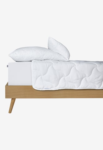 SCHIESSER Pillow 'Hygge' in White