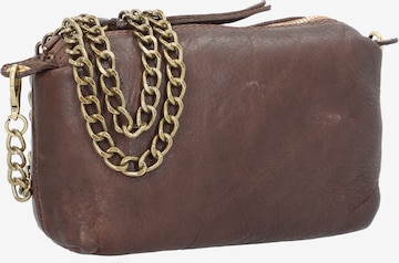 Caterina Lucchi Crossbody Bag in Brown