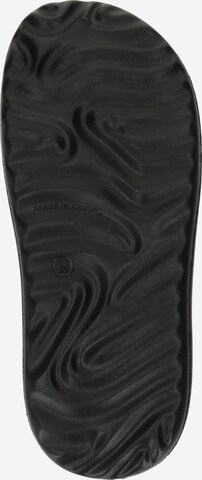 Calvin Klein Jeans Sandals & Slippers in Black