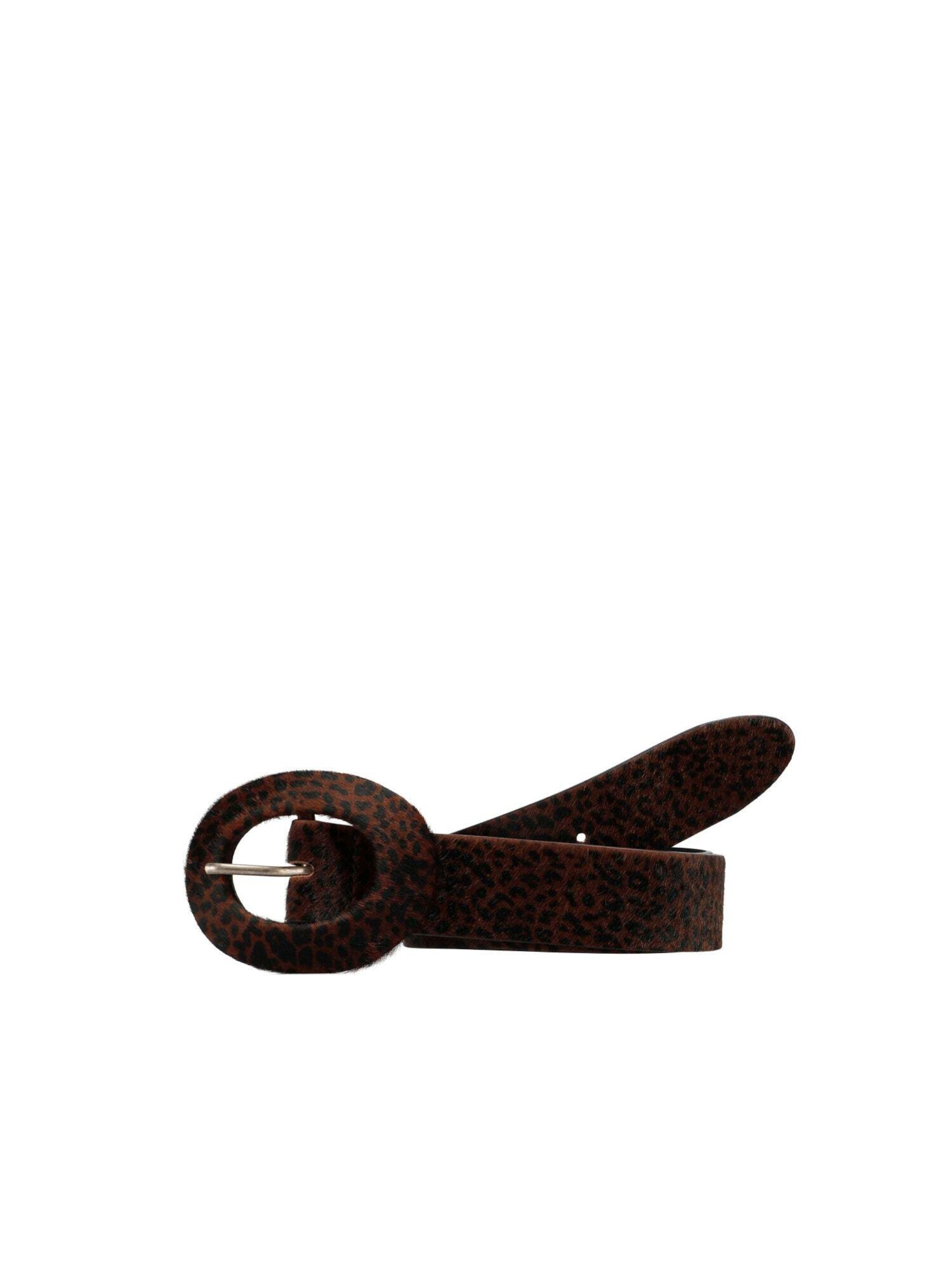 Scalpers Bälte 'Scguagarino' i brun: framsida