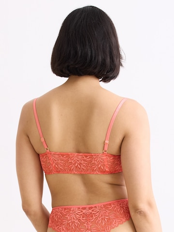 Bandeau Soutien-gorge 'Dreamy Lace' Erlich Textil en jaune