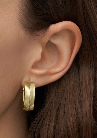 FOSSIL Earrings in Gold: front