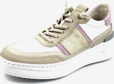 GABOR Sneakers laag in de kleur Olijfgroen / Sering / Wit, Productweergave
