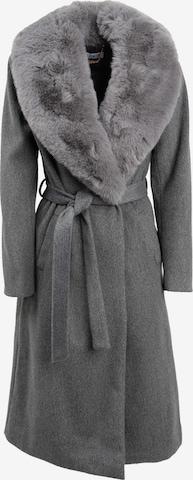 Influencer Pitkä talvitakki värissä harmaa: etupuoli