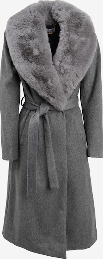 Žieminis paltas iš Influencer, spalva – pilka, Prekių apžvalga