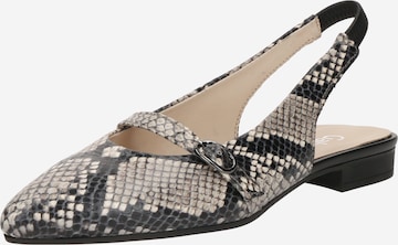 Ballerina con cinturino di GABOR in beige: frontale