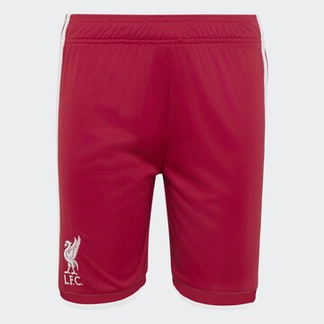 ADIDAS PERFORMANCE - regular Pantalón deportivo 'FC Liverpool 26/27' en rojo