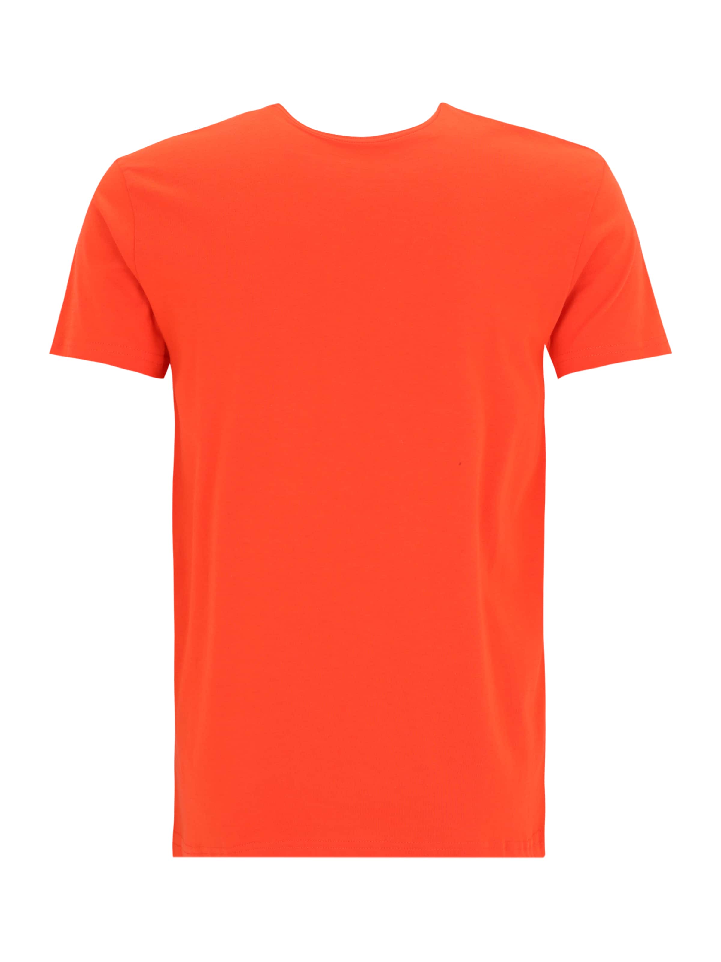 ALPHA INDUSTRIES Shirt in Orange