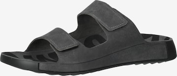 ECCO Mules in Grey: front
