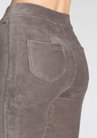 LASCANA Flared Broek in Grijs