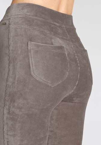 LASCANA Flared Pants in Grey