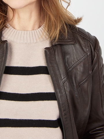 JCC Tussenjas in Bruin