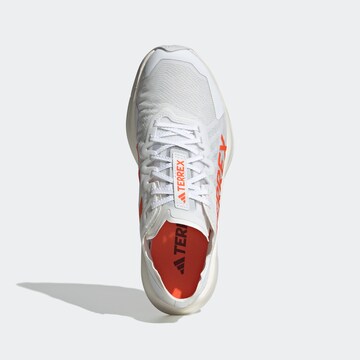ADIDAS TERREX - Zapatos bajos 'Agravic Speed Trai' en blanco