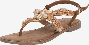 Tongs LAZAMANI en marron : devant