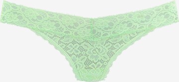 LASCANA Thong in Green