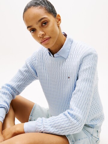 TOMMY HILFIGER Trui in Blauw