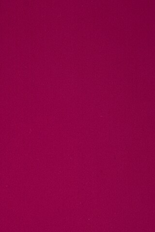 Triangle Maillot de bain BUFFALO en violet